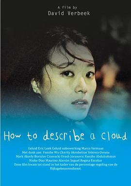 荷兰电影剧情片《云的模样 How to Describe a Cloud》(2013)[1080P][超清][BT下载]