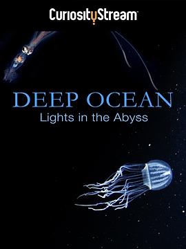 日本电影纪录片《深海：深渊之光 Deep Ocean: Lights in the Abyss》(2016)[1080P][超清][BT下载]