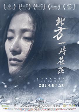 中国大陆电影剧情片《北方一片苍茫》(2017)[1080P][超清][BT下载]