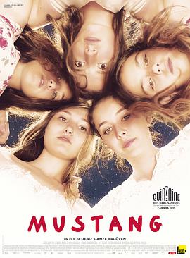 法国电影剧情片《野马 Mustang》(2015)[1080P][超清][BT下载]