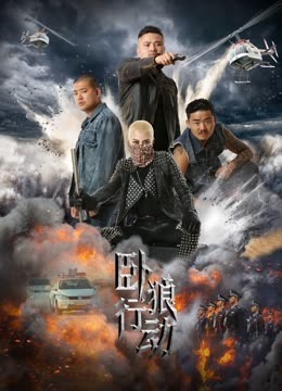 中国大陆电影剧情片《卧狼行动》(2023)[1080P][超清][BT下载]