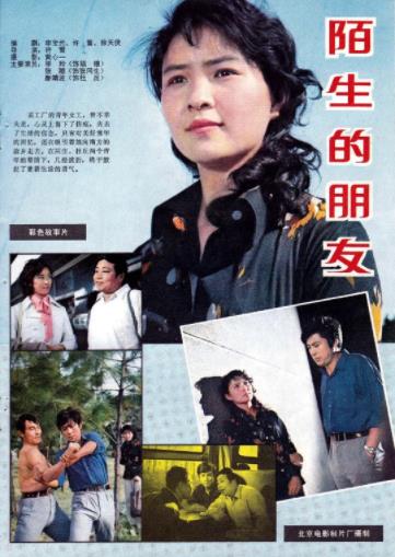 中国大陆电影剧情片《陌生的朋友》(1982)[1080P][超清][BT下载]