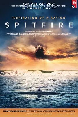 美国电影剧情片《喷火 Spitfire》(2018)[1080P][超清][BT下载]