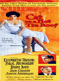 美国电影剧情片《朱门巧妇 Cat on a Hot Tin Roof》(1958)[1080P][超清][BT下载]