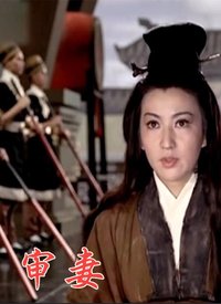 香港电影剧情片《审妻 審妻》(1966)[1080P][超清][BT下载]