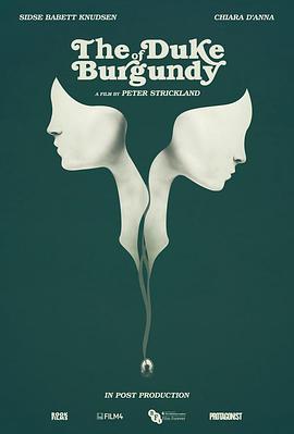 英国电影剧情片《勃艮第公爵 The Duke of Burgundy》(2014)[1080P][超清][BT下载]