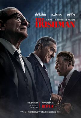 美国电影剧情片《爱尔兰人 The Irishman》(2019)[1080P][超清][BT下载]