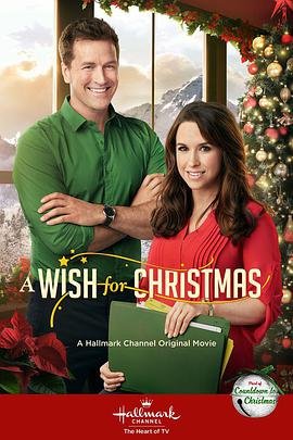 美国电影剧情片《圣诞心愿 A Wish For Christmas》(2016)[1080P][超清][BT下载]