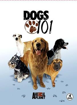 美国综艺《狗狗全纪录 第一季 Dogs 101 Season 1》(2008)[1080P][超清][BT下载]