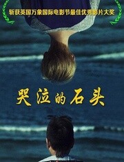 中国大陆电影剧情片《哭泣的石头》(2013)[1080P][超清][BT下载]