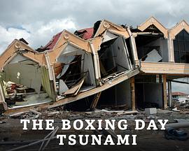 英国综艺《印度洋大海啸 第一季 Boxing Day Tsunami》(2021)[1080P][超清][BT下载]