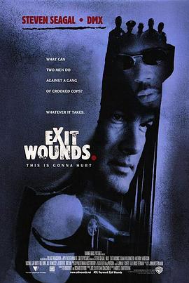 美国电影剧情片《以毒攻毒 Exit Wounds》(2001)[1080P][超清][BT下载]