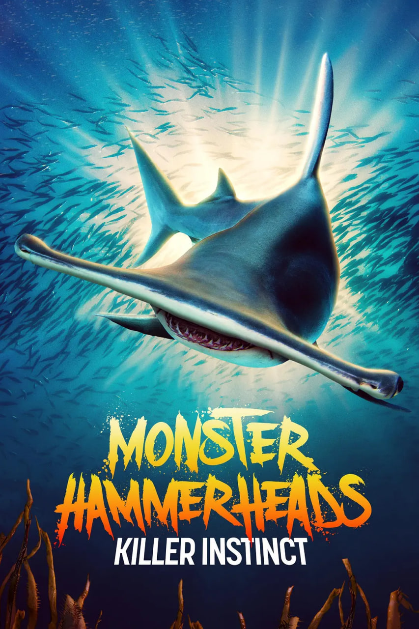 美国电影纪录片《怪物双髻鲨：杀手本能 Monster Hammerheads: Killer Instinct》(2023)[1080P][超清][BT下载]