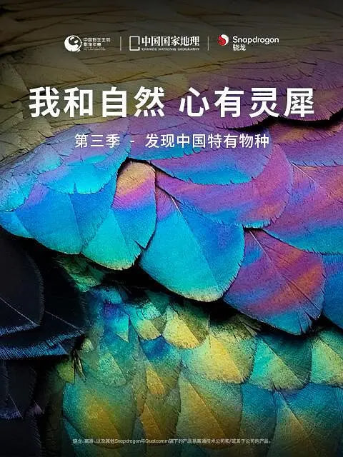 中国大陆电影纪录片《我和自然 心有灵犀 第三季 《我和自然 心有灵犀》第三季 - 发现中国特有物种》(2022)[1080P][超清][BT下载]