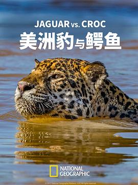 美国电影纪录片《美洲豹与鳄鱼 Jaguar vs. Croc》(2017)[1080P][超清][BT下载]