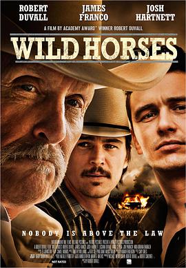 美国电影剧情片《野马 Wild Horses》(2015)[1080P][超清][BT下载]