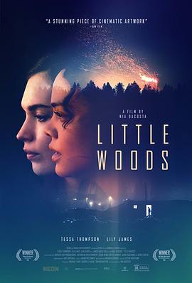 美国电影剧情片《小森林 Little Woods》(2018)[1080P][超清][BT下载]