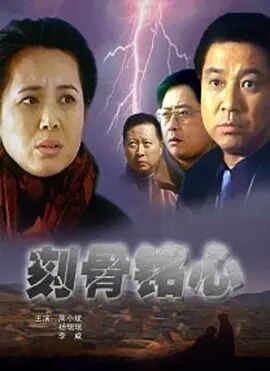 中国大陆电影剧情片《刻骨铭心》(2003)[1080P][超清][BT下载]