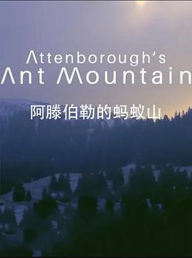 英国电影纪录片《阿滕伯勒的蚂蚁山 David Attenborough's Ant Mountain》(2018)[1080P][超清][BT下载]