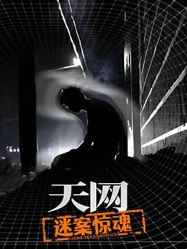 中国大陆电影纪录片《天网：迷案惊魂》(2025)[1080P][超清][BT下载]