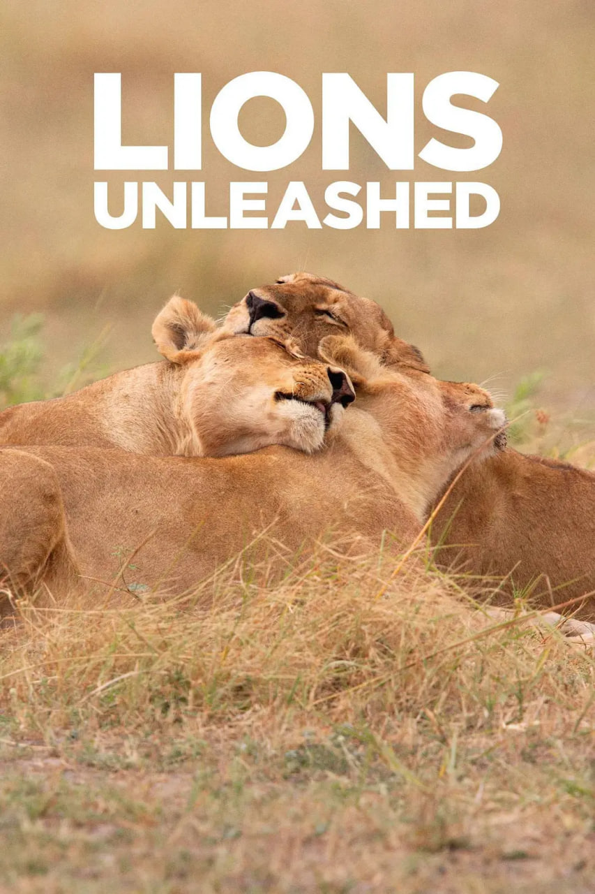 美国电影纪录片《Lions Unleashed Lions Unleashed Season 1》(2017)[1080P][超清][BT下载]