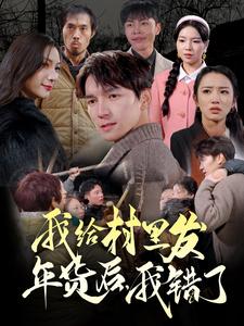 中国大陆连续剧国产剧《我给村里发年货后，我错了》(2025)[1080P][超清][BT下载]