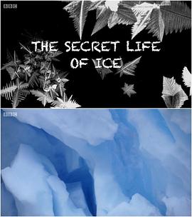 英国电影纪录片《冰的秘密 The Secret Life of Ice》(2011)[1080P][超清][BT下载]