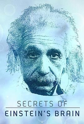 美国电影纪录片《爱因斯坦大脑的秘密 Secrets of Einstein's Brain》(2015)[1080P][超清][BT下载]