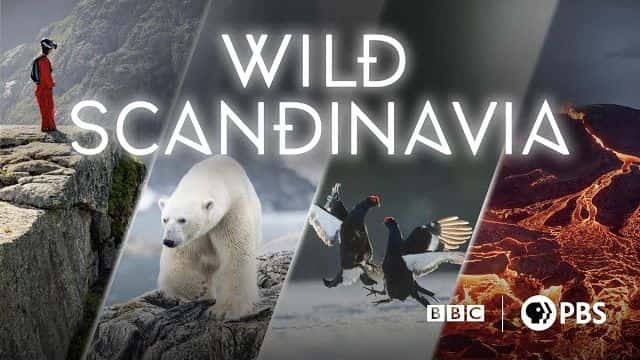 [英国][纪录片][纪录片]《野性斯堪的纳维亚 第一季》Wild Scandinavia [1080P][超清][BT下载]