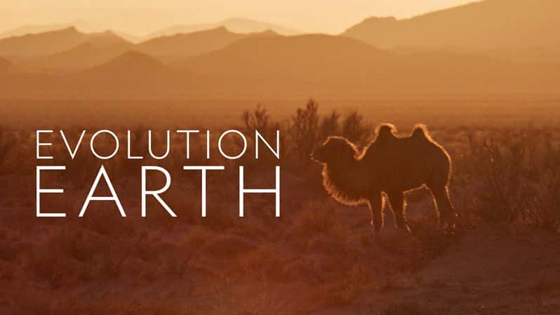 [美国][加拿大][法国][德国][纪录片]《进化的地球 第一季》Evolution Earth [1080P][超清][BT下载]
