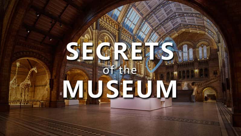 [英国][纪录片][纪录片]《博物馆的秘密 第一至三季》Secrets of the Museum [1080P][超清][BT下载]