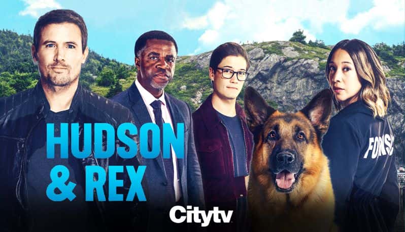 [美国][罪案][动作谍战]《哈德森与雷克斯 第五至六季》Hudson &amp; Rex [1080P][超清][BT下载]