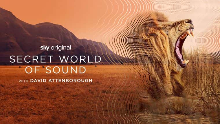 [美国][犯罪][纪录片]《大卫·艾登堡：大自然的声音 第一季》Secret World of Sound with David Attenborough [1080P][超清][BT下载]