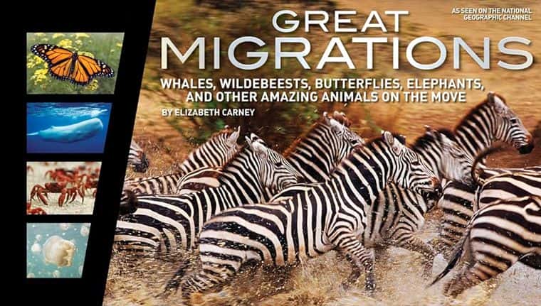 [美国][纪录片][纪录片]《大迁徙 第一季》Great Migrations [1080P][超清][BT下载]