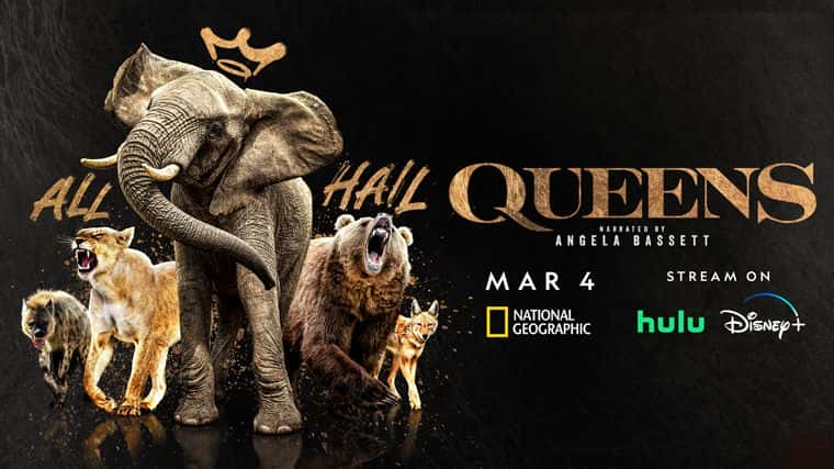 [美国][纪录片]《野性王后 第一季》Queens [1080P][超清][BT下载]