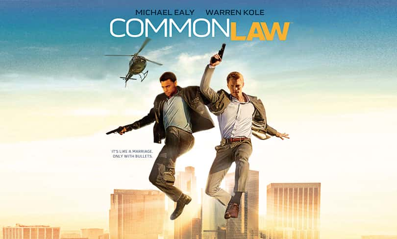 [美国][罪案][动作谍战]共同法则 第一季 Common Law [1080P][超清][BT下载]