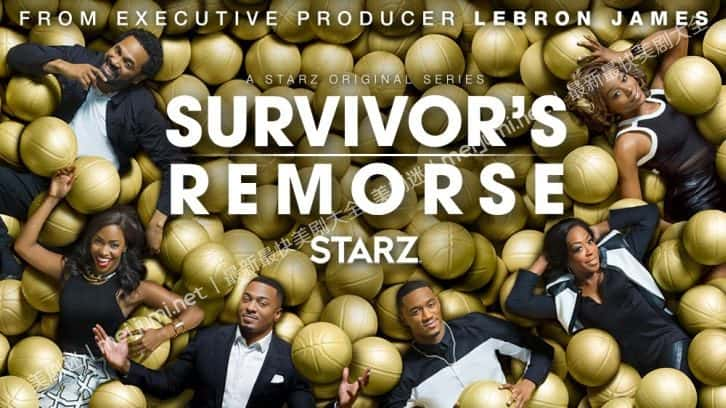 [美国][喜剧]星路多懊悔 第一至四季 Survivor’s Remorse [1080P][超清][BT下载]