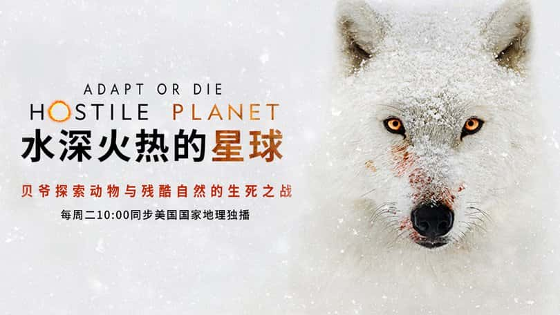 [美国][纪录片]《水深火热的星球 第一季》Hostile Planet [1080P][超清][BT下载]