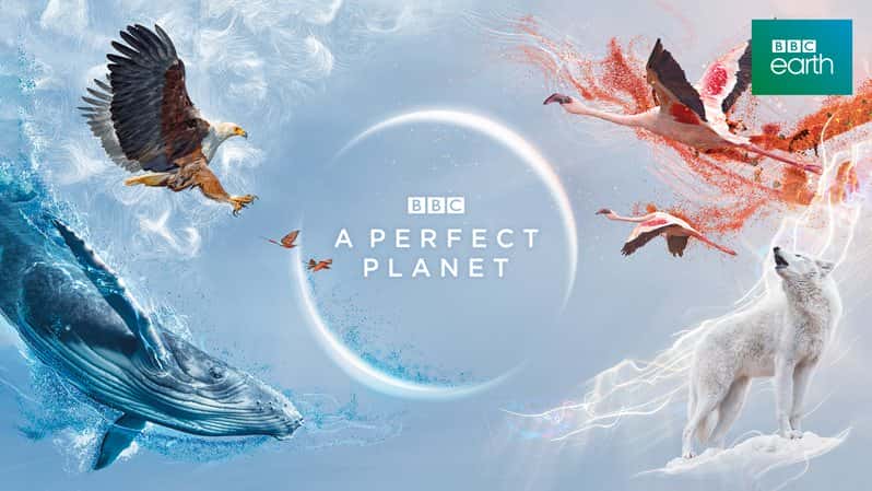 [英国]《完美星球 第一季》A Perfect Planet [1080P][超清][BT下载]