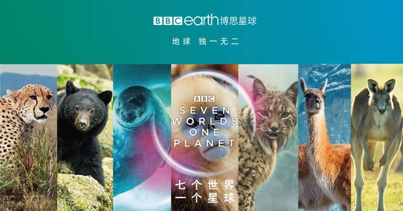 [英国][纪录片]《七个世界，一个星球 第一季》Seven Worlds, One Planet [1080P][超清][BT下载]