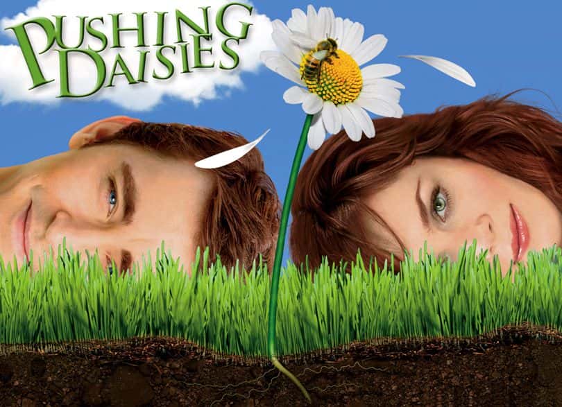 [美国][魔幻][科幻]《灵指神探 第一至二季》 Pushing Daisies [1080P][超清][BT下载]