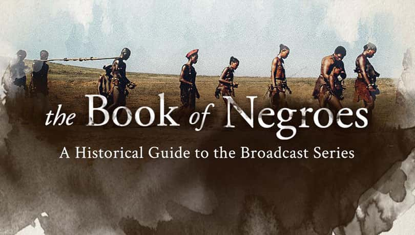 [美国][剧情][历史]《黑人之书 第一季》 The Book of Negroes [1080P][超清][BT下载]