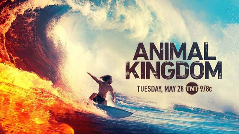 [美国][罪案][动作谍战]《野兽家族 第四季》Animal Kingdom [1080P][超清][BT下载]