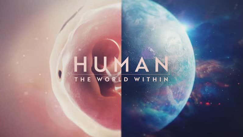 [美国][纪录片]《人体大惊奇 第一季》Human: The World Within [1080P][超清][BT下载]