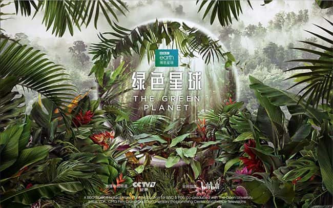 [英国][纪录片]《绿色星球 第一季》The Green Planet [1080P][超清][BT下载]