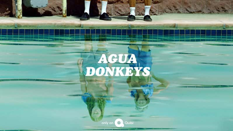 [美国][喜剧]《水驴清洁公司 第一季》Agua Donkeys [1080P][超清][BT下载]