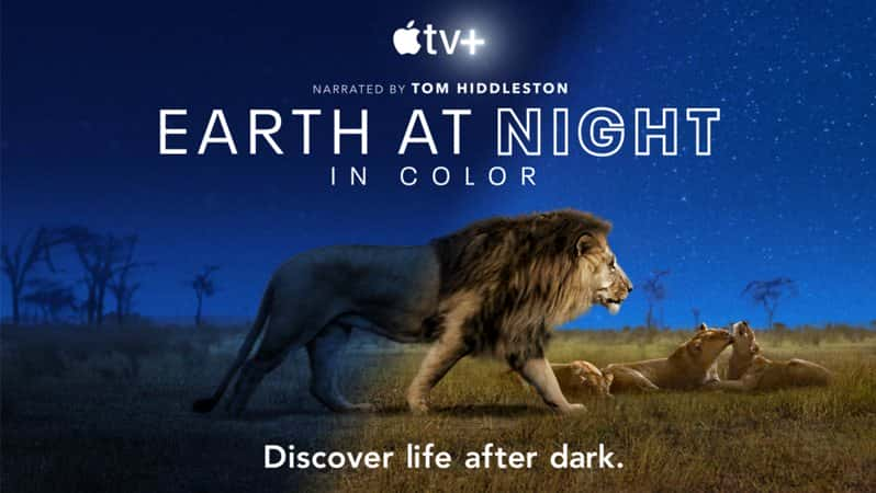 [美国][纪录片]《夜色中的地球 第一季》Earth at Night in Color [1080P][超清][BT下载]