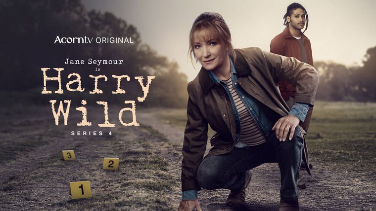 [爱尔兰][罪案][动作谍战]《野探哈莉 第四季》Harry Wild Season 4 [1080P][超清][BT下载]