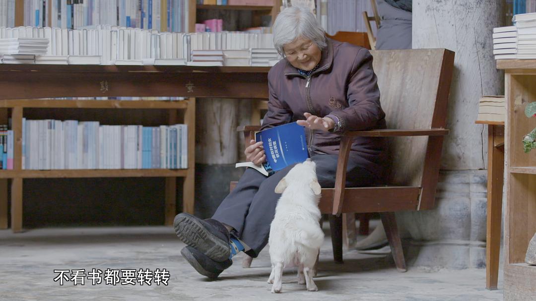 电视剧《书迷》（2018中国大陆）--高清BT迅雷资源下载