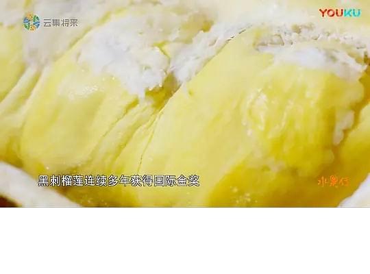 电视剧《水果传 第一季》（2018中国大陆）--高清BT迅雷资源下载
